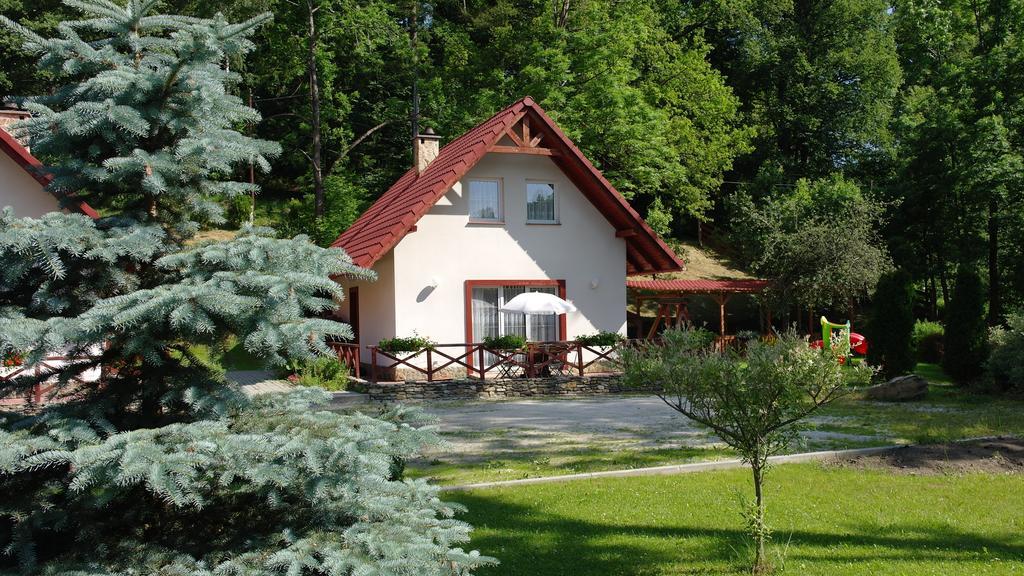 Villa Domki Pod Jesionami à Stronie Śląskie Extérieur photo